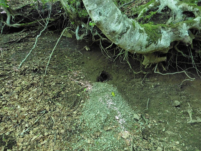 Tana: chi � l''occupante?